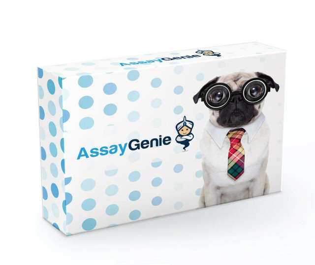 Assay Genie热销高质量的ELISA试剂盒