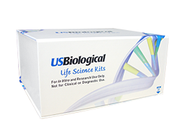 Spondin 1（SPON 1）BioAssay™ ELISA试剂盒